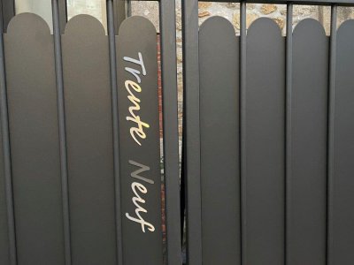 Grille fer forgé